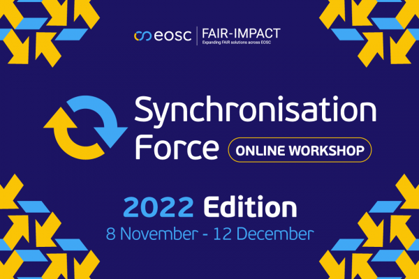 Series of Synchronisation Force Workshops