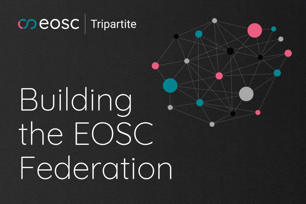 Questionnaire for parties interested in contributing to the build-up phase of the EOSC Federation