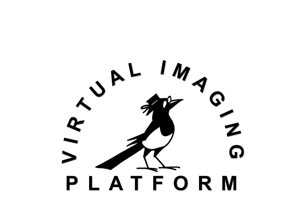 Virtual Imaging Platform