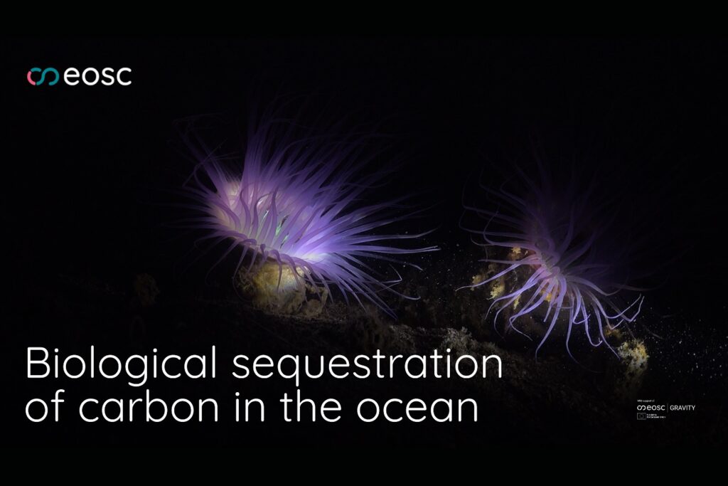 EOSC Federation use case: Biological sequestration of carbon in the ocean
