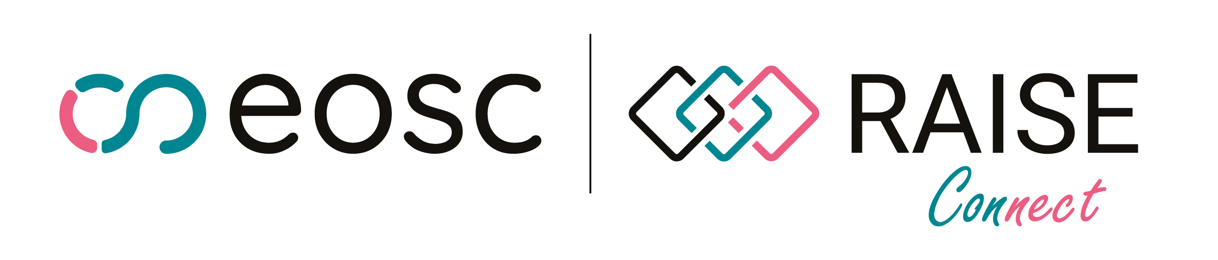 RAISE-CONNECT